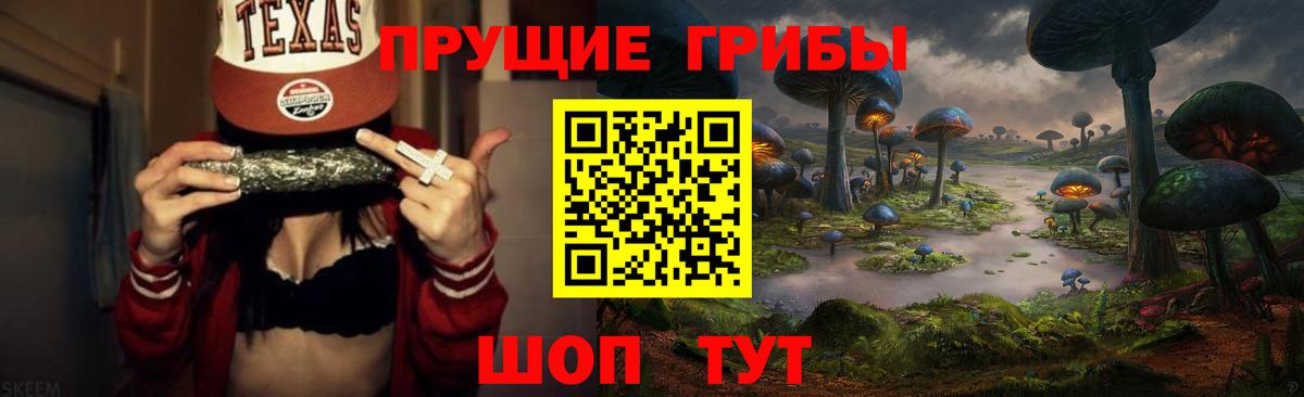 Псилоцибиновые грибы GOLDEN TEACHER  Вход с VPN  Ленинск-Кузнецкий 